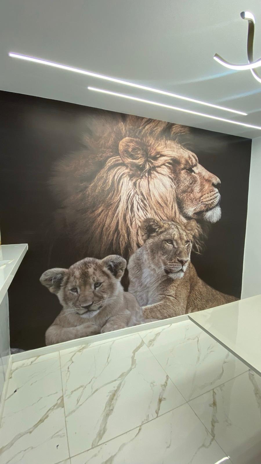 Mural Leões - Antes